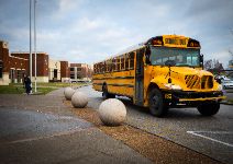  bus in loop